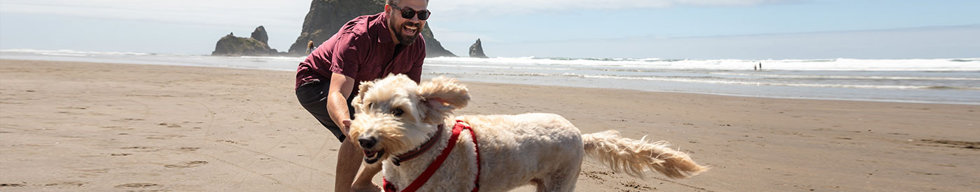 Man laughing and playing with dog at Haystack Rock, Cannon Beach, OR